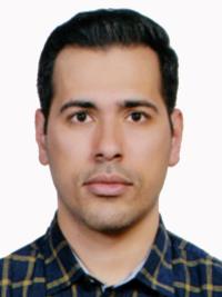 دکتر هادی زارع مهرجردی