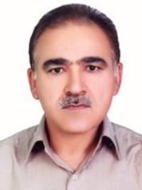 دکتر ماجد نظری