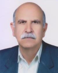 دکتر سیدعبدالصمد شفیعی