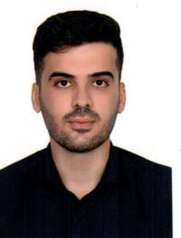 دکتر سیدمهدی حسینی