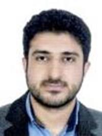 دکتر سیدمهدی محمودی