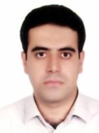 دکتر سیدمحمدعلی مرتضوی ها